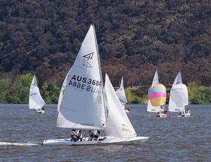 46th ACT Flying Fifteen International Championship photo copyright Matt Gleeson taken at  and featuring the  class
