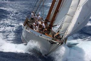 Coral of Cowes built in 1902 photo copyright Tim Wright taken at  and featuring the  class
