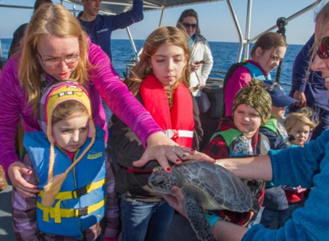 Coast Guard family members and civilian passengers about Coast Guard Cutter Kodiak Island out of Atlantic Beach North Carolina prepare to release a rehabilitated sea turtle off the North Carolina coast Dec. 15, 2014. The Coast Guard, in cooperation with the North Carolina Resources Commission, helped release a total of 19 rehabilitated sea turtles into the Gulf Stream off the coast of North Carolina including Kemp's ridley sea turtles, green sea turtles and a loggerhead sea turtle.  © Kevin E Geraghty