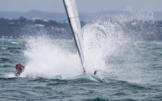 Hiroki Goto (JPN) going through rather than over one of those sheep that never congregate on Port Phillip! - 2015 Moth World Championship ©  Alex McKinnon Photography http://www.alexmckinnonphotography.com