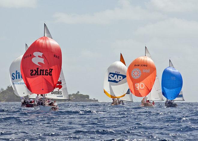 J/24 fleet - 2015 Mount Gay Round Barbados Race Series ©  Peter Marshall / MGRBR