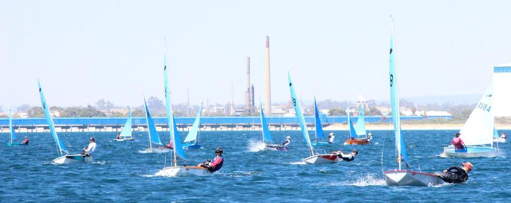 Close racing in the Minnow open fleet. © Tracy McPhee