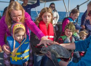 Coast Guard family members and civilian passengers about Coast Guard Cutter Kodiak Island out of Atlantic Beach North Carolina prepare to release a rehabilitated sea turtle off the North Carolina coast Dec. 15, 2014. The Coast Guard, in cooperation with the North Carolina Resources Commission, helped release a total of 19 rehabilitated sea turtles into the Gulf Stream off the coast of North Carolina including Kemp's ridley sea turtles, green sea turtles and a loggerhead sea turtle. photo copyright Kevin E Geraghty taken at  and featuring the  class