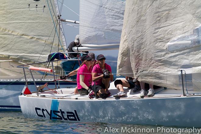 Very focussed on Hyperactive. - 2015 PPWCS ©  Alex McKinnon Photography http://www.alexmckinnonphotography.com