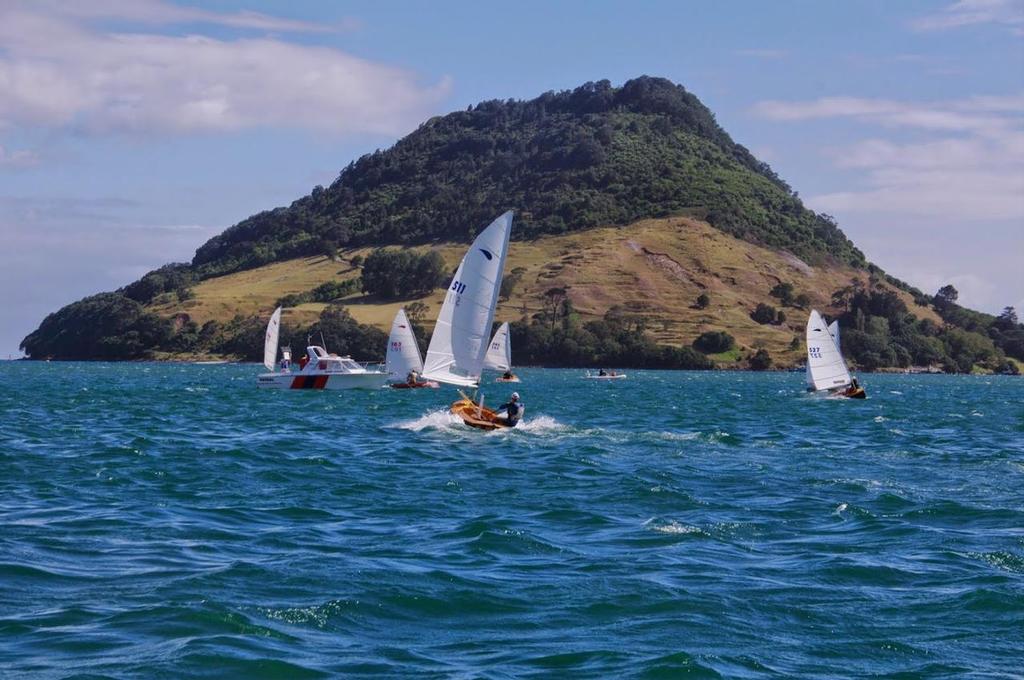  - 2015 Zephyr Nationals Tauranga © Murray de Lues