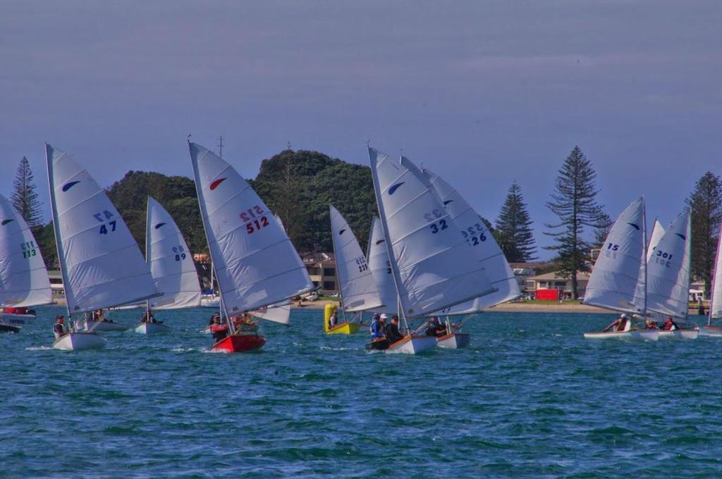  - 2015 Zephyr Nationals Tauranga © Murray de Lues