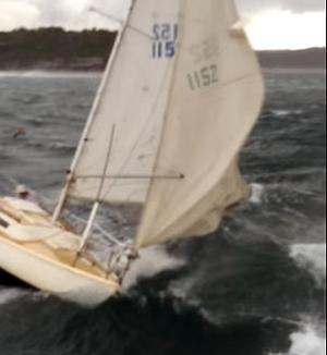 Yacht 1152 collides with Manly Ferry photo copyright SW taken at  and featuring the  class