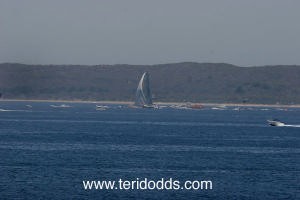 ABN AMRO ONE sails up Port Phillip Bay  2005-2006 Volvo Ocean Race photo copyright Teri Dodds http://www.teridodds.com taken at  and featuring the  class