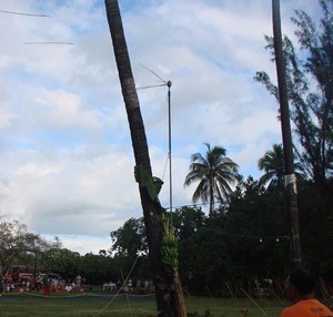 Web Heiva - the pole topped by tiny coconut is impossibly high - see the javelins that missed photo copyright BW Media taken at  and featuring the  class