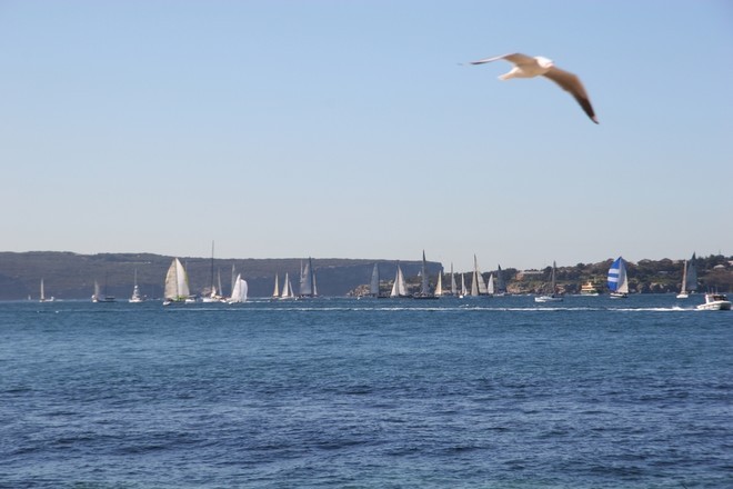 Yachts gathering for race start Southport Race 2009 - Sydney Harbour Hop © Maggie Joyce - Mariner Boating Holidays http://www.marinerboating.com.au