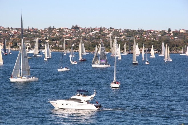 Enjoying the Harbour © Maggie Joyce - Mariner Boating Holidays http://www.marinerboating.com.au