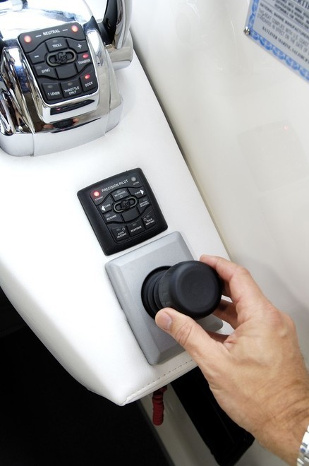 Axius joy stick © Bob Wonders