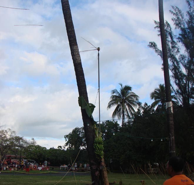 The pole topped by tiny coconut is impossibly high - see the javelins that missed © BW Media