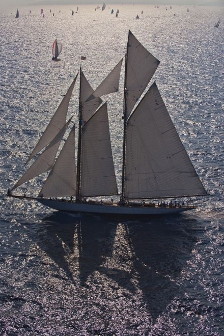 ELEONORA - Les Voiles de Saint-Tropez 2009 ©  Rolex/ Kurt Arrigo http://www.regattanews.com