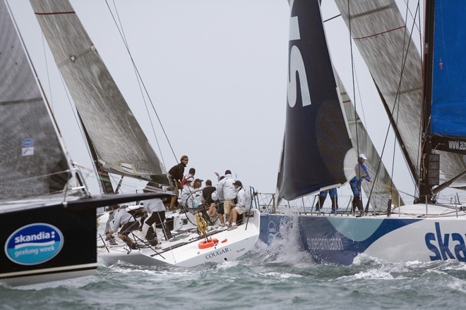 SAILING - Skandia Geelong Week 2008, Melbourne(Australia) - 24/01/08 COUGAR II ©  Andrea Francolini Photography http://www.afrancolini.com/