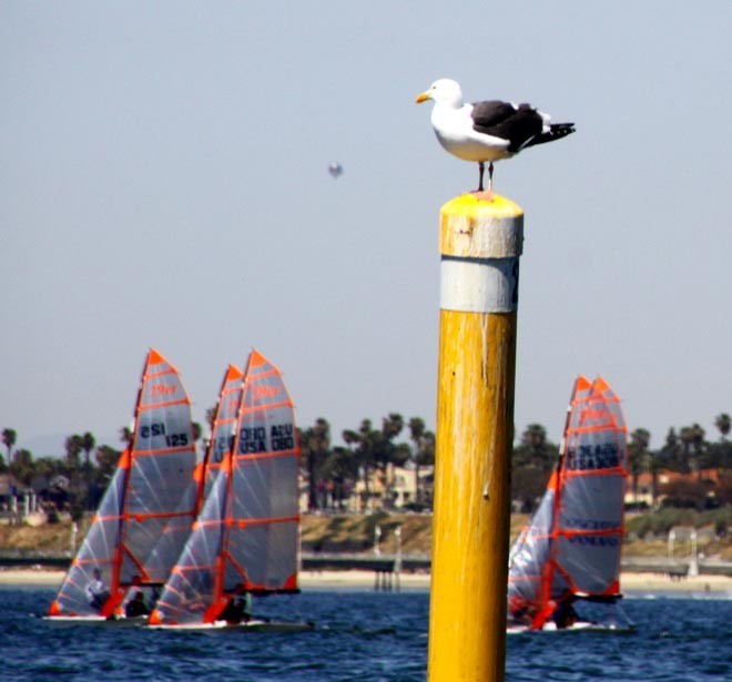 CISA Advanced Racing Clinic © Rich Roberts http://www.UnderTheSunPhotos.com