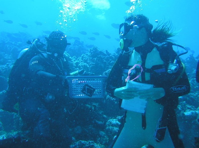Zoe is helped immensely in the field by local Bikinese “Eddie” – Photo Silvia Pinca - ARC Centre of Excellence © ARC Centre of Excellence Coral Reef Studies http://www.coralcoe.org.au/