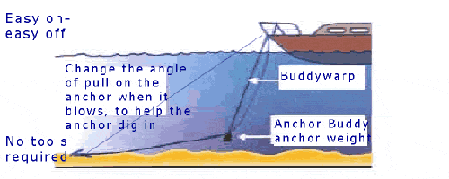 Anchor Buddy at work © SW