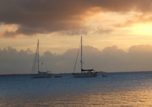 Bavaria 39, Kiselda, anchored at Panga Motu, Tonga - Island Cruising Assoc rally to the Kingdom of Tonga 2007 photo copyright Nick Jansen taken at  and featuring the  class