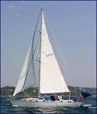 Blackwattle sailing with the yankee © SW