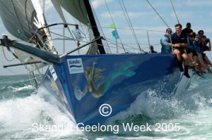 SAILING - Skandia Geelong Week 2005 / Melbourne (AUS) - AAPT - 22/01/05 - Photo: Teri Dodds photo copyright Teri Dodds http://www.teridodds.com taken at  and featuring the  class