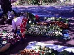 Gizo Market © Media Services