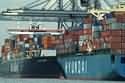 Hyundai Fortune in port © SW