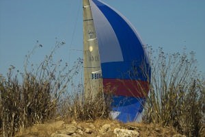 Sydney 38, Bustin Loose, running past the weeds 2006 Rolex Big Boat Series photo copyright Chuck Lantz http://www.ChuckLantz.com taken at  and featuring the  class