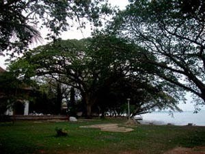 Kerala Cochin Looking out from the hotel to the anchorage © SW