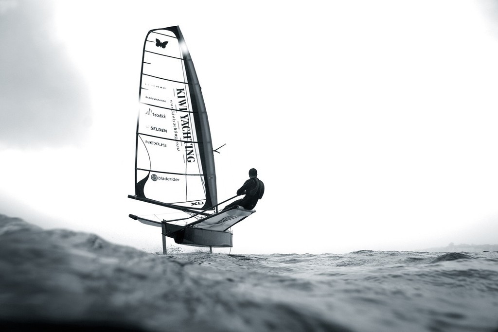 Bladerider Moth - Subzero Images © Gareth Cooke - Subzero Images http://www.subzeroimages.com