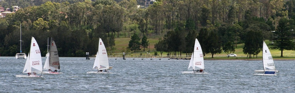 Cobras on Lake Macquarie  - 2008 Cobra Nationals © SW