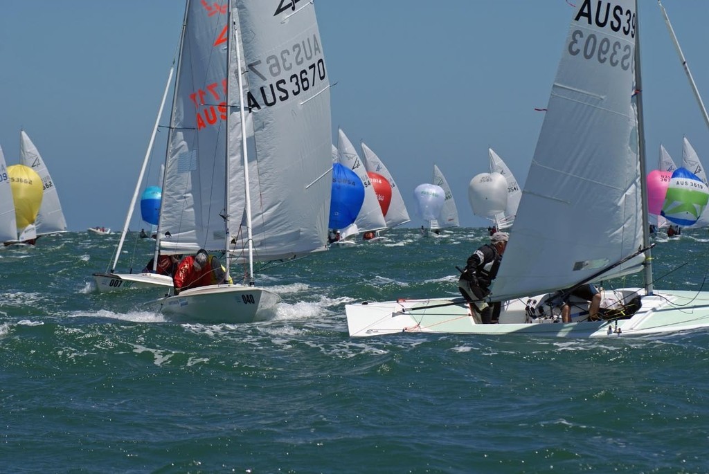 Race 1 2009 Audi Flying Fifteen World Championships, Melbourne © Richard Gladwell www.photosport.co.nz