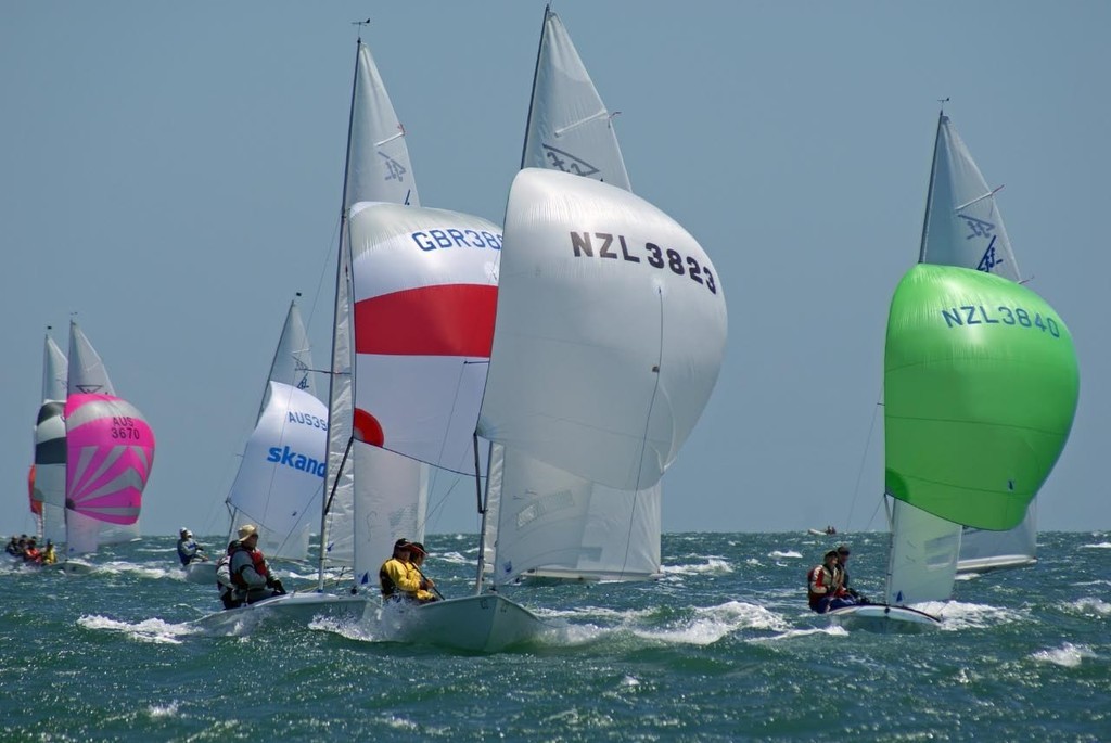 Race 1 2009 Audi Flying Fifteen World Championships, Melbourne © Richard Gladwell www.photosport.co.nz