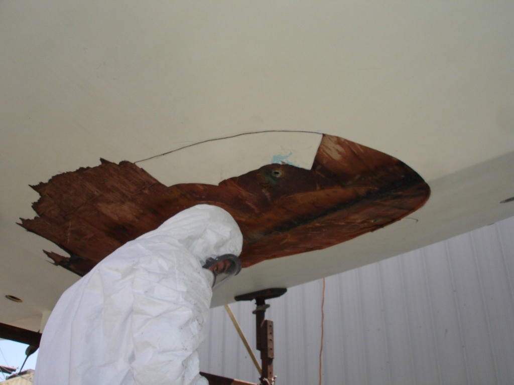 Replacing the ply skin on Ragtime © Chris Welsh