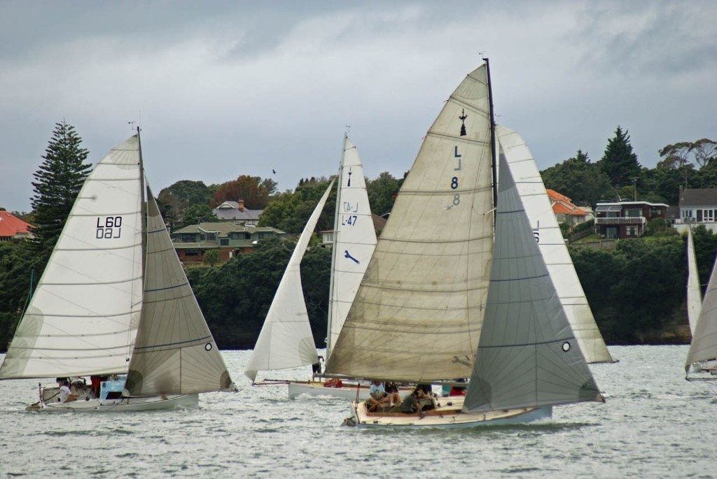 Valleria (L-8) - 2009 Lipton Cup © Richard Gladwell www.photosport.co.nz