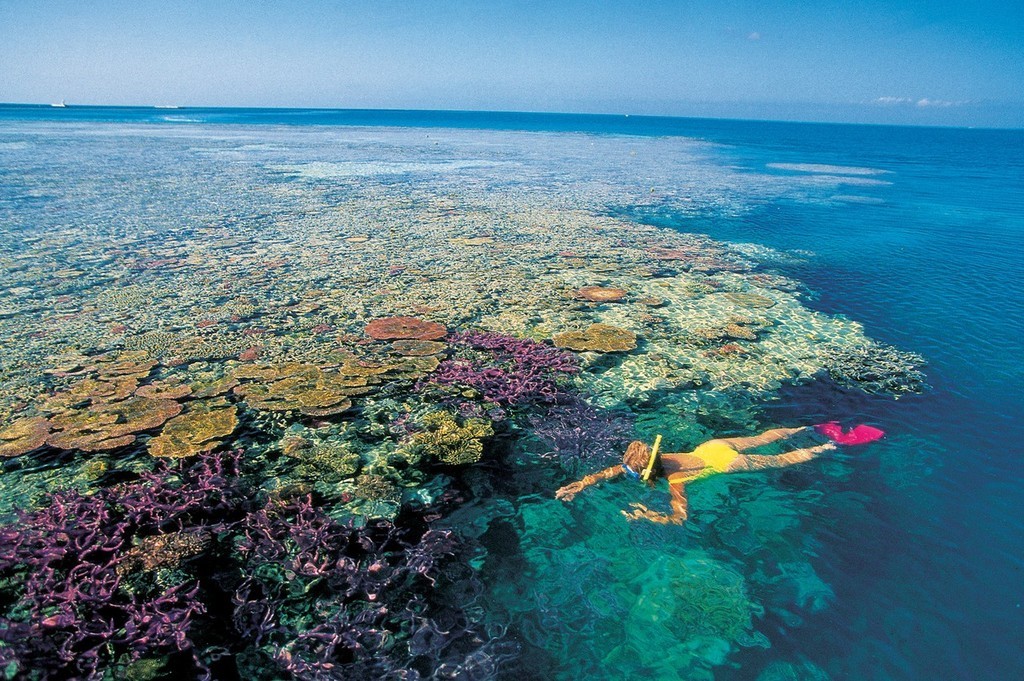 Tour operators, charter boats, hotels and a myriad of other businesses would be impacted by the loss of the Reef. photo copyright MIAA taken at  and featuring the  class