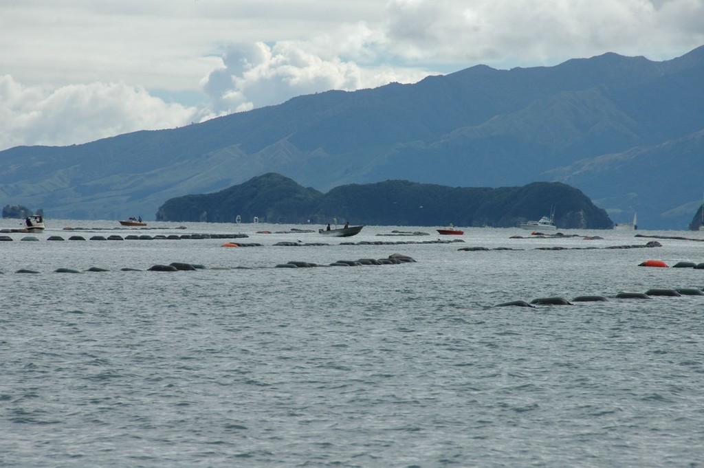 Mussel farm off Waiheke Island, Hauraki Gulf the Government&rsquo;s objective is to take four times the current area for sea farming photo copyright Christine Hansen taken at  and featuring the  class
