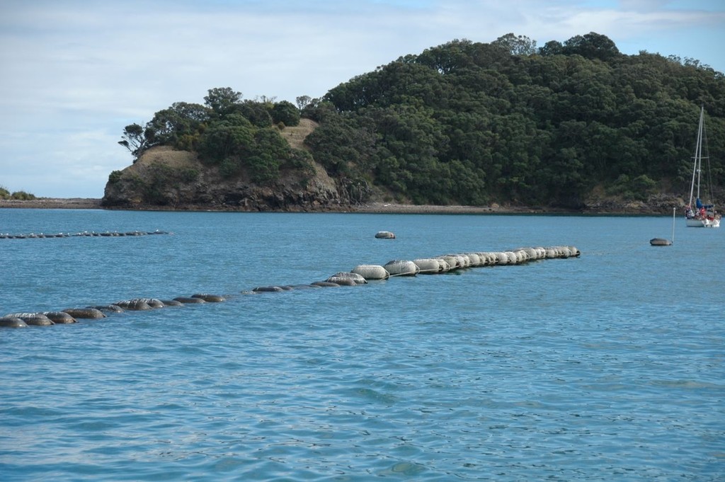 The target of Bouzaid’s new campaign - the insidious creep of mussel farms and aquaculture, in the Hauraki Gulf. The National Government’s objective is to take four times the current area for sea farming and is pushing through legislation to achieve that objective. © Christine Hansen