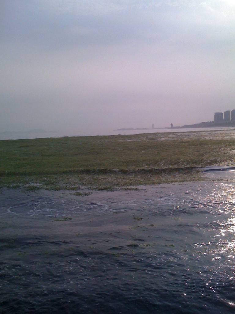 Weed islands off Qingdao,  July 2008 photo copyright Dan Slater taken at  and featuring the  class