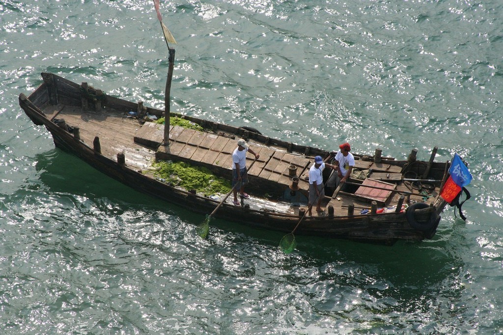 A fleet of work boats deal to the Qingdao Green. © Sail-World.com /AUS http://www.sail-world.com
