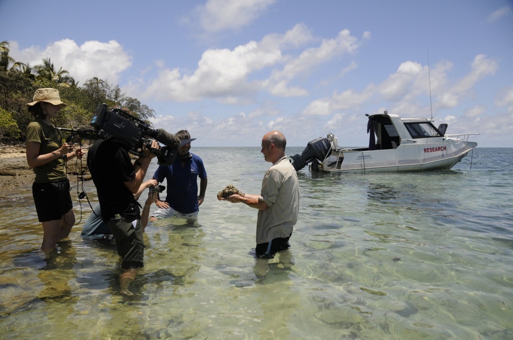 Yamaha - Shark Research 01 photo copyright Bob Carter taken at  and featuring the  class