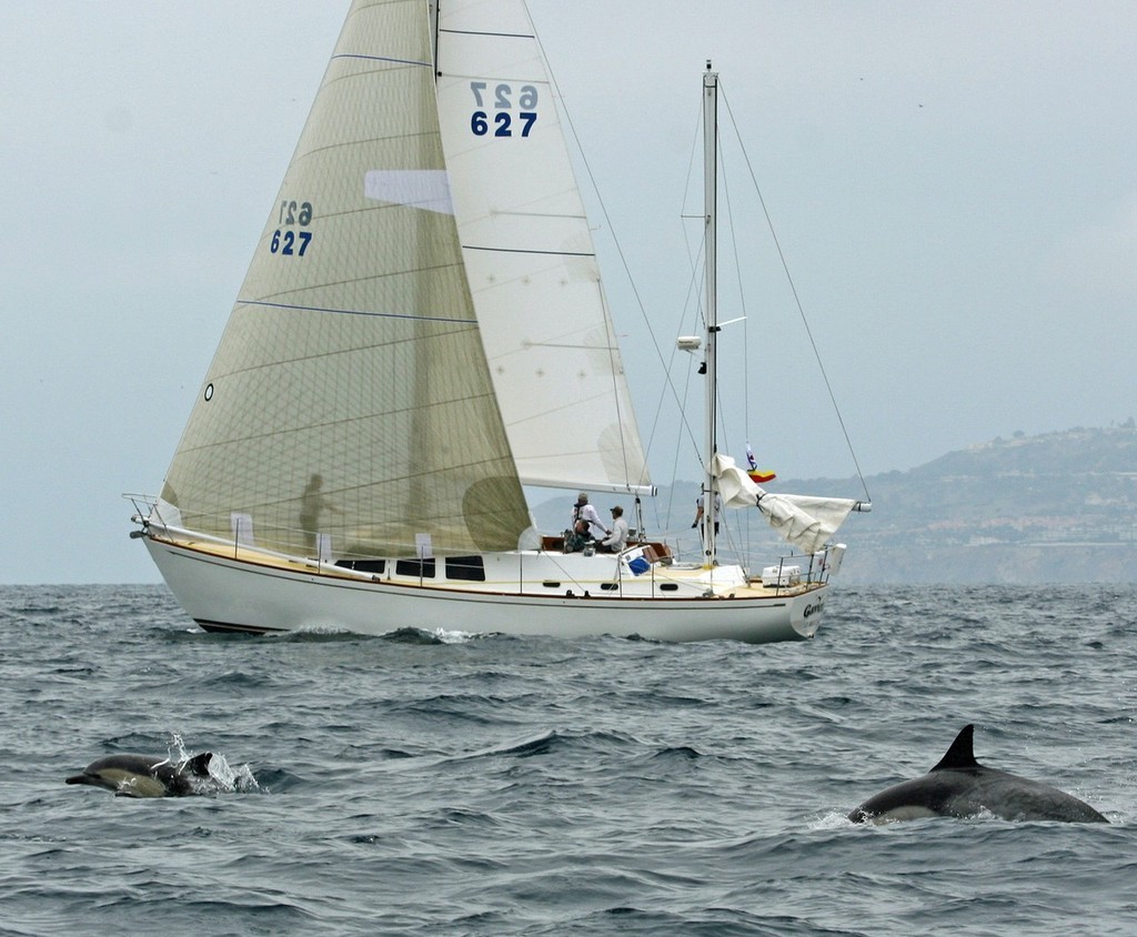 Dolphins pace Gaviota off the line. - Transpac © Rich Roberts http://www.UnderTheSunPhotos.com