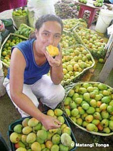 Matangi Tonga a plentiful mango season © Media Services