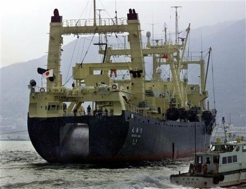 Nisshin Maru departing Shimonoseki in south western Japan © SW