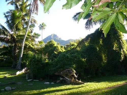 Ceremonial site Rarotonga, Cook Islands © SW