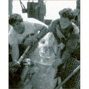 Favignana Tuna Hunt - days gone by photo copyright SW taken at  and featuring the  class