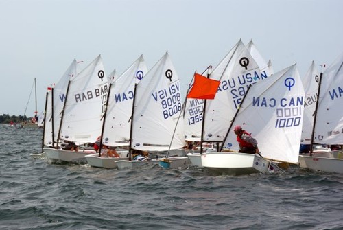OPTI Racing © Geoff Webster