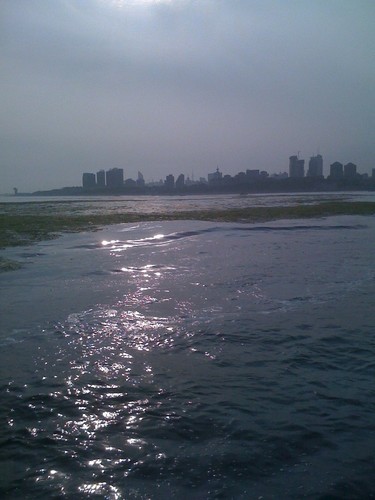 Weed islands off Qingdao,  July 2008 © Dan Slater