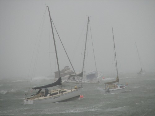 The moorings at Algies Bay, 26 July 2008 © Ross Walker