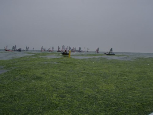26 deg, Sunny, 67% humidity, Great visibility [no fog] 2 to 5 knots of wind, tide against wind... A little too much weed.... © Smiling Student